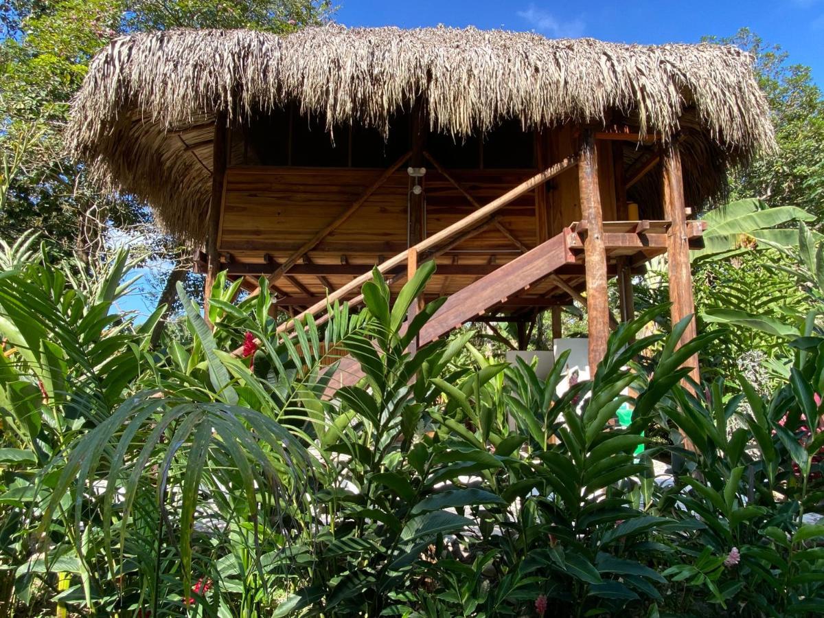 Salvia Madre Hotel Guachaca Exterior foto