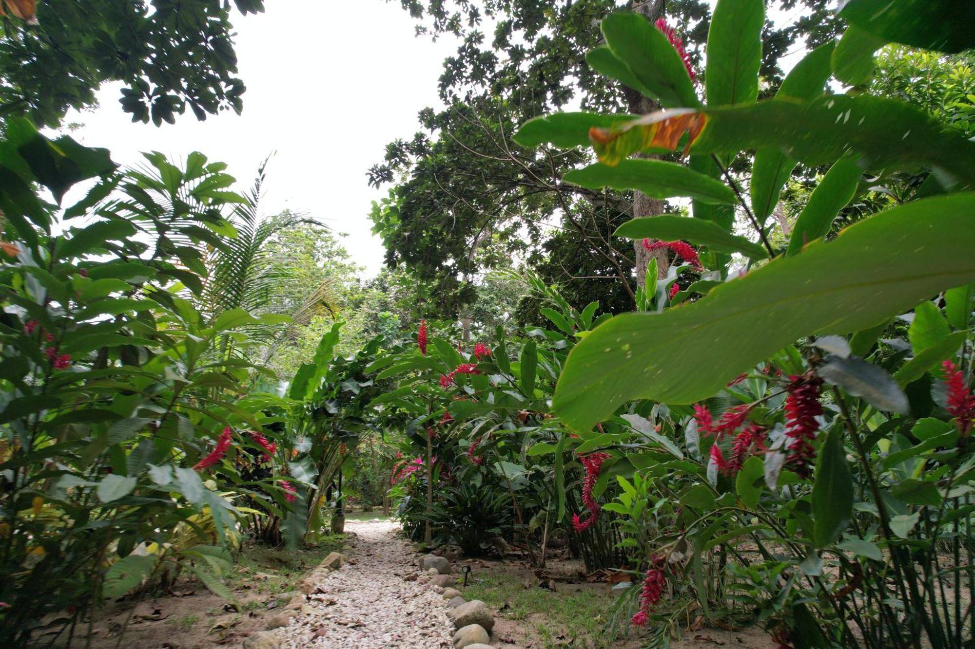 Salvia Madre Hotel Guachaca Exterior foto