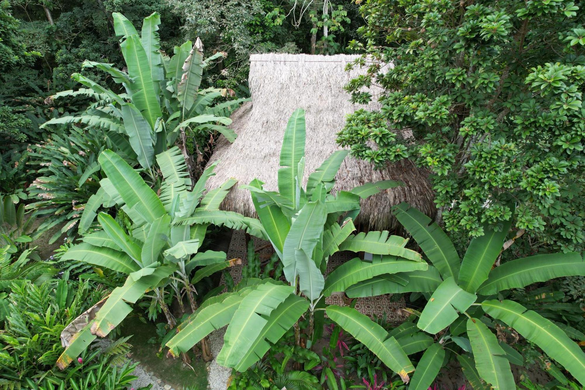 Salvia Madre Hotel Guachaca Exterior foto