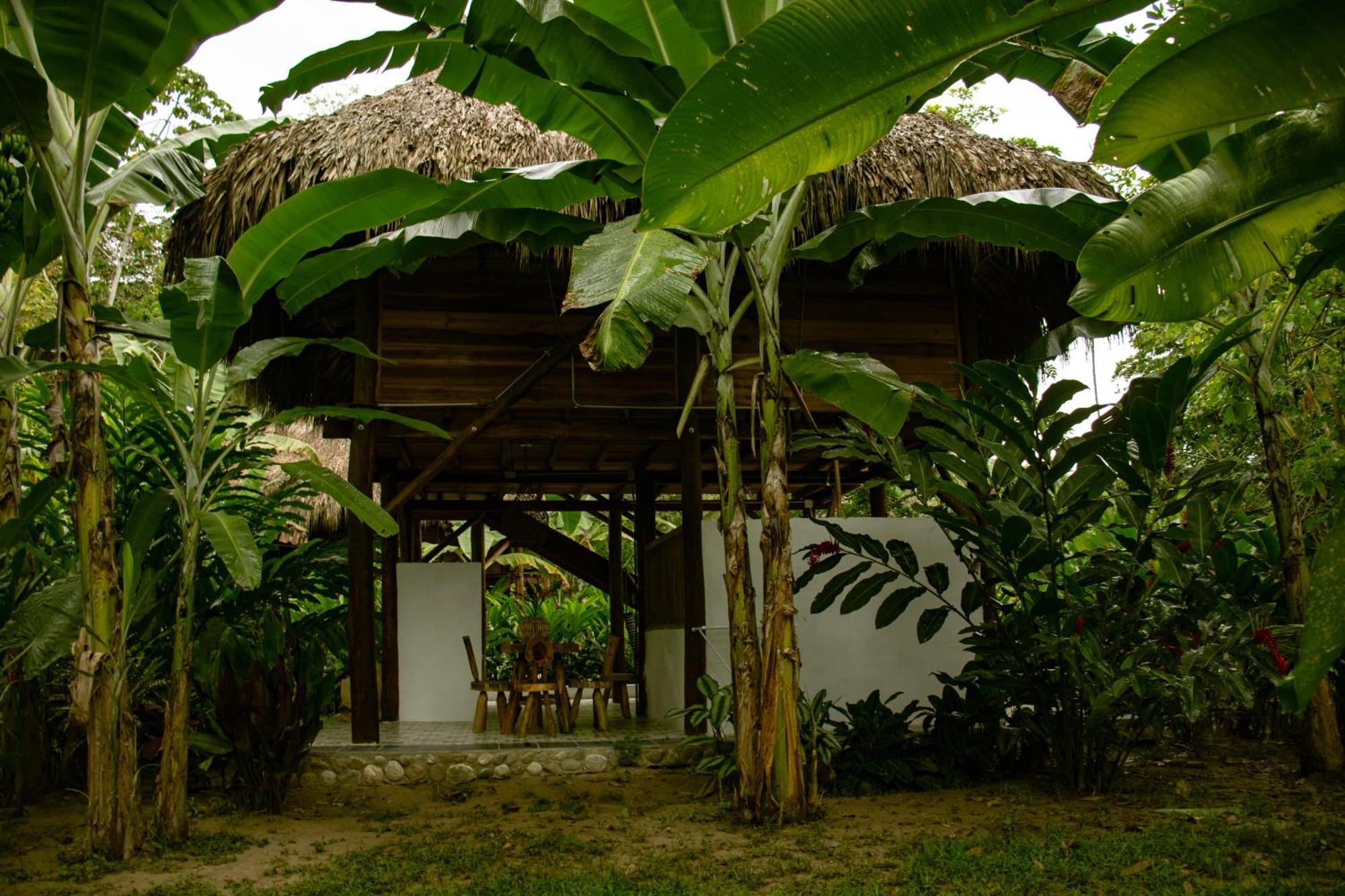 Salvia Madre Hotel Guachaca Exterior foto