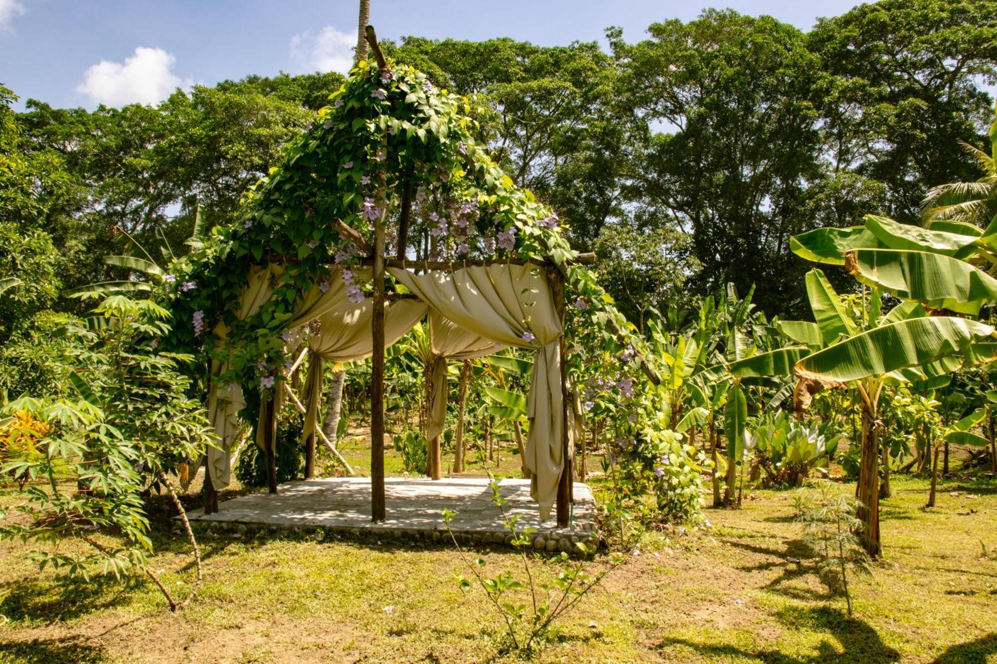 Salvia Madre Hotel Guachaca Exterior foto
