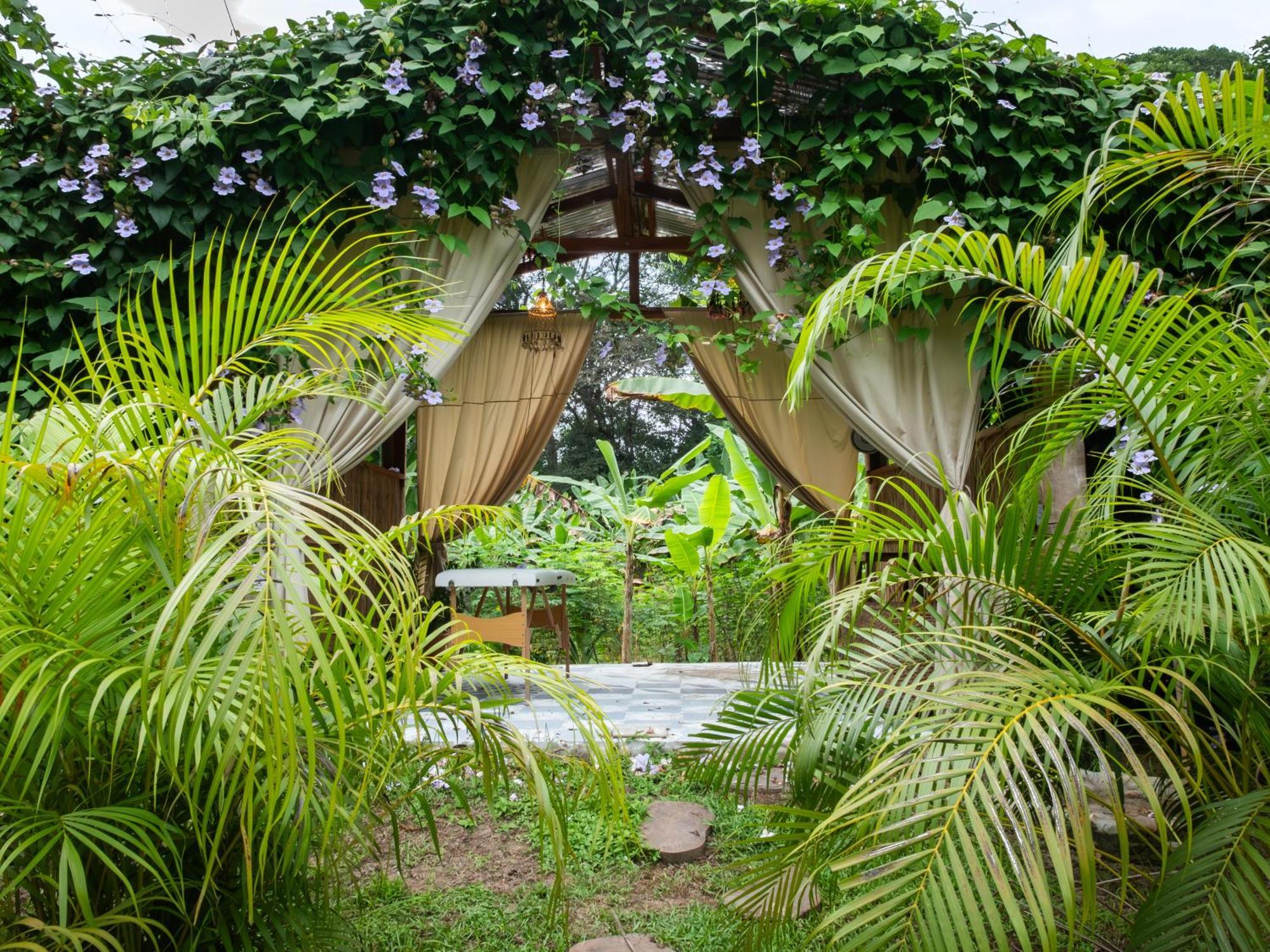 Salvia Madre Hotel Guachaca Exterior foto