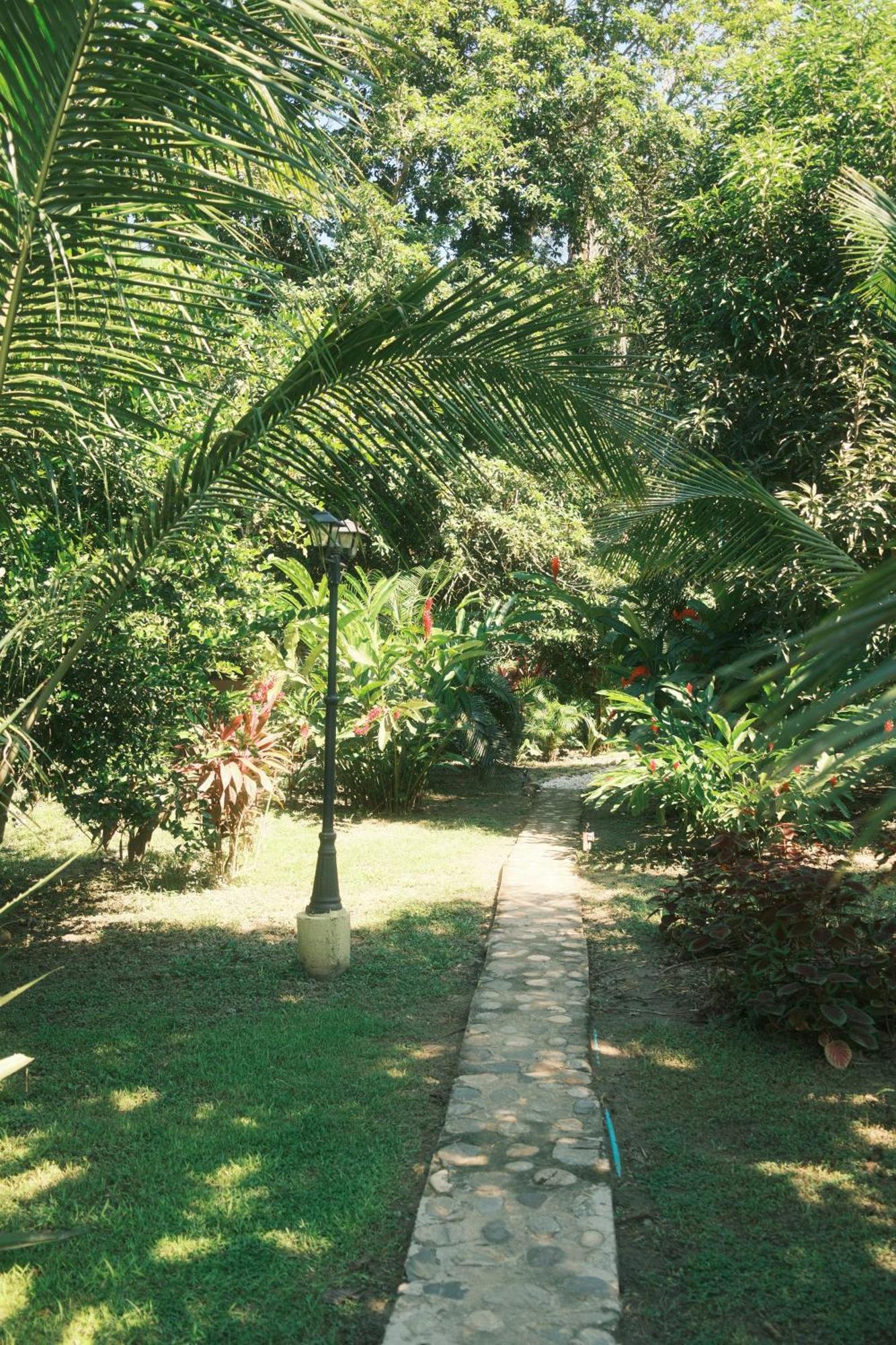 Salvia Madre Hotel Guachaca Exterior foto