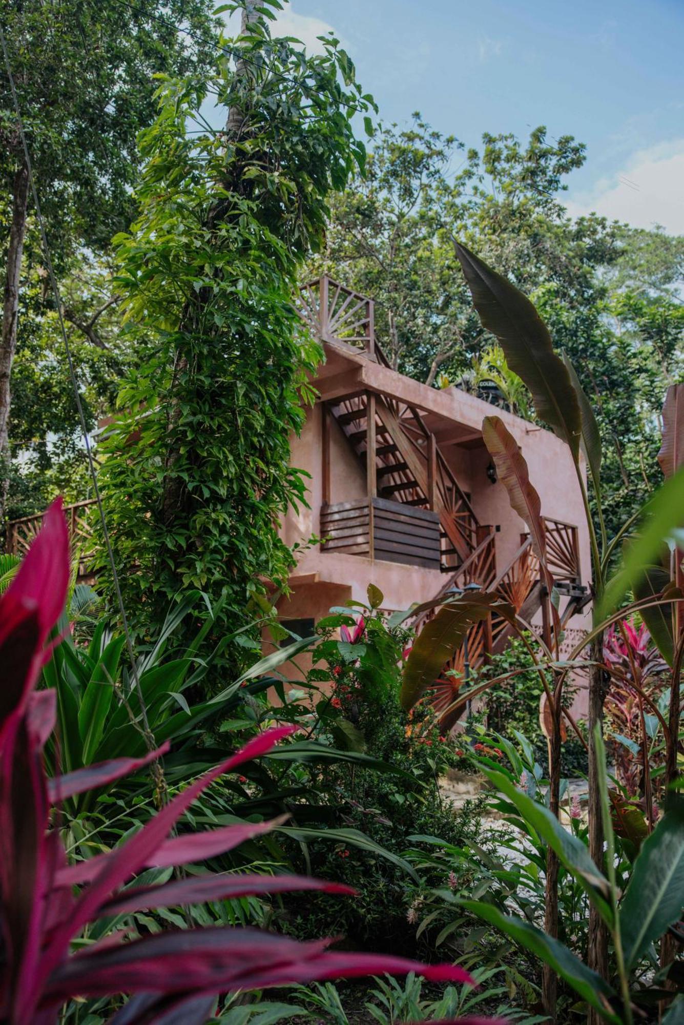 Salvia Madre Hotel Guachaca Exterior foto